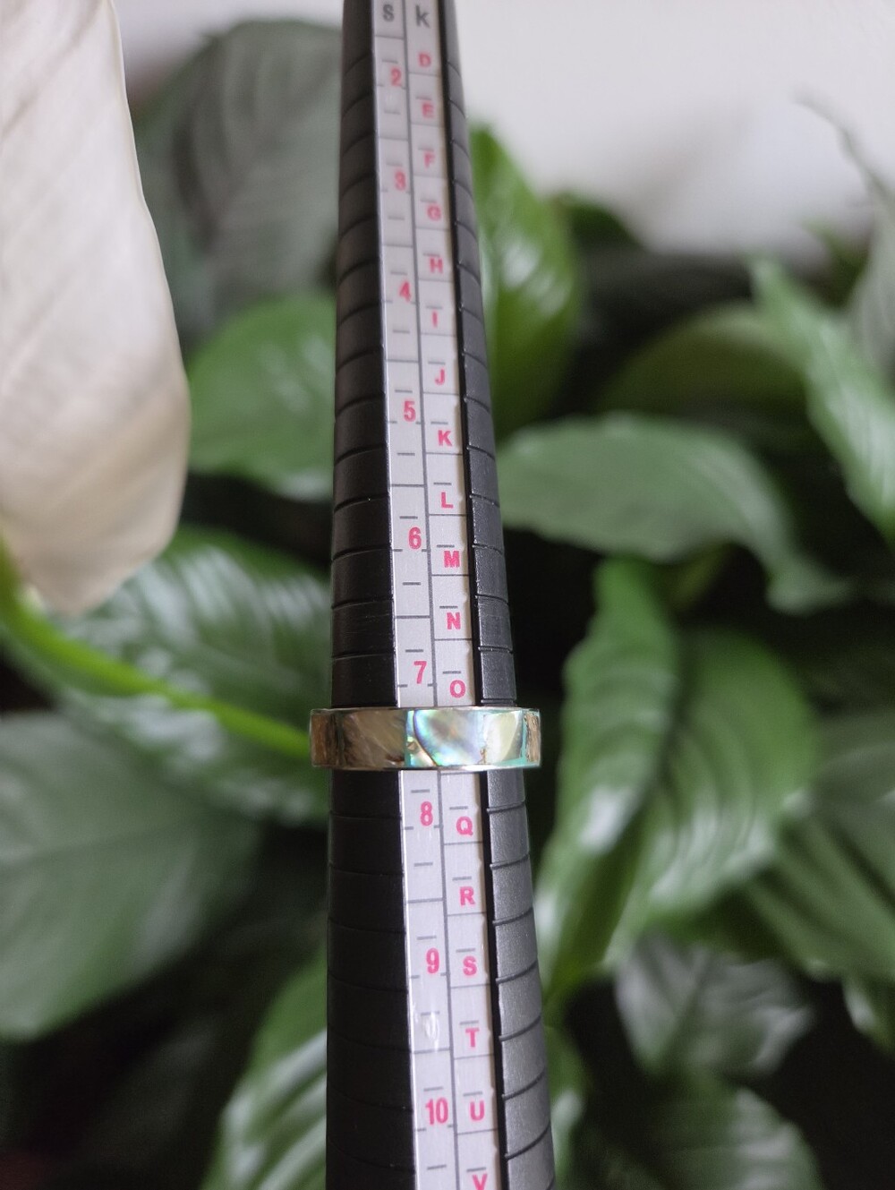 Cloisonne Ring/ Band. Unisrx. Size 7.5